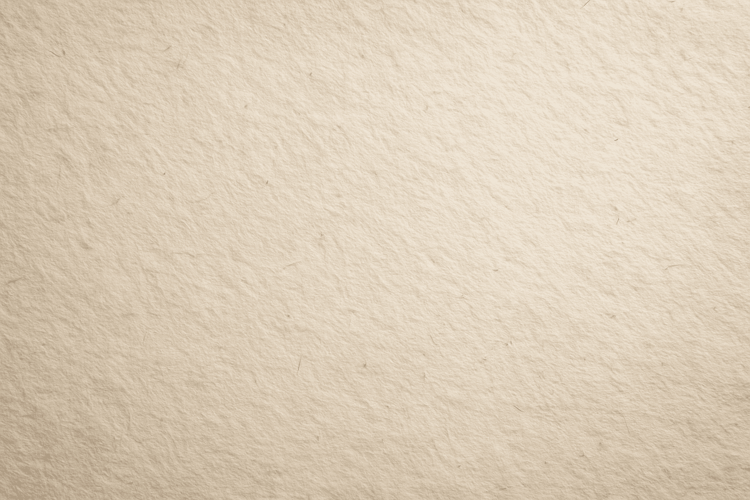 Close-up of textured paper background showing fibers and subtle lighting