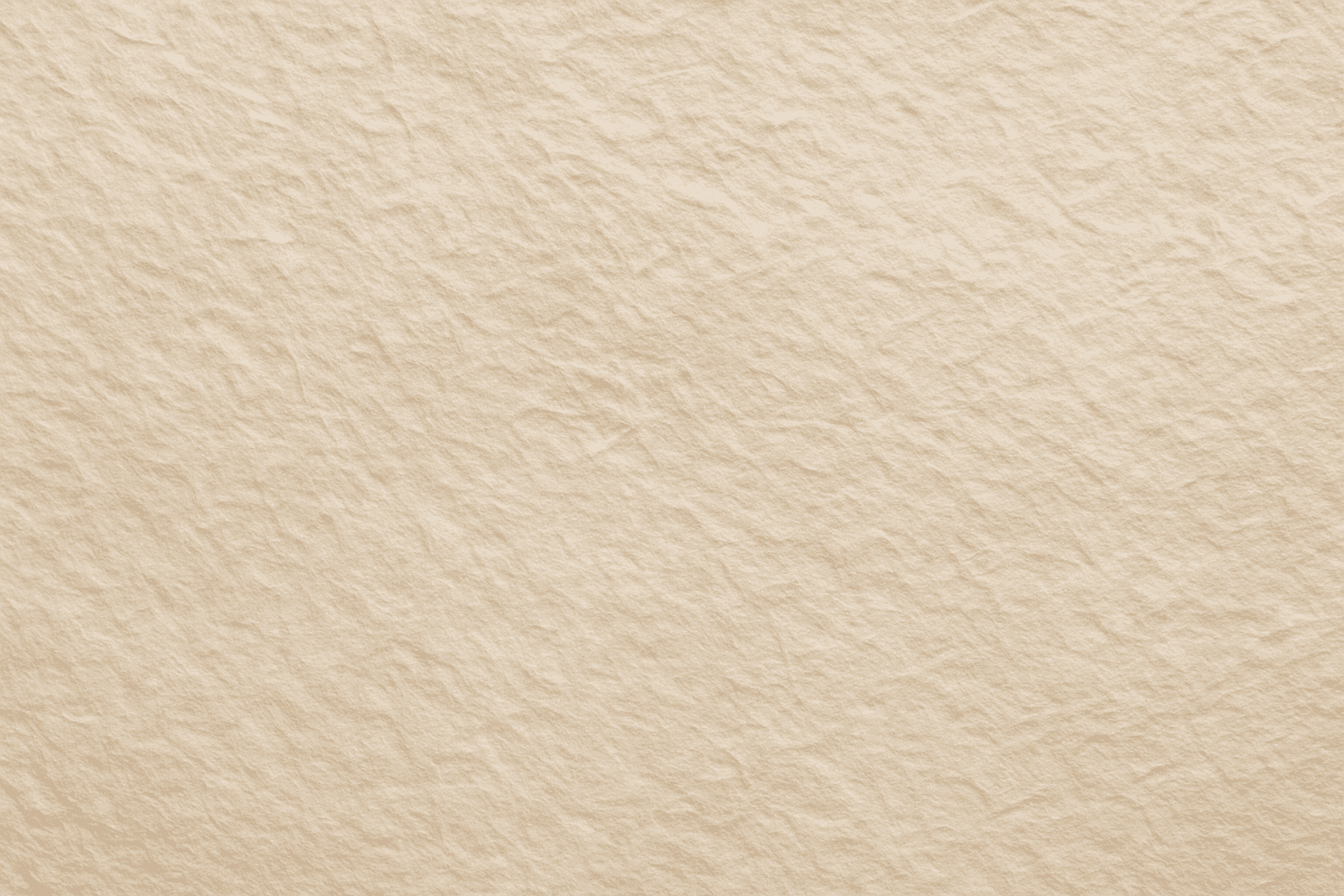 Close-up detail of paper showing intricate fiber texture with soft natural lighting