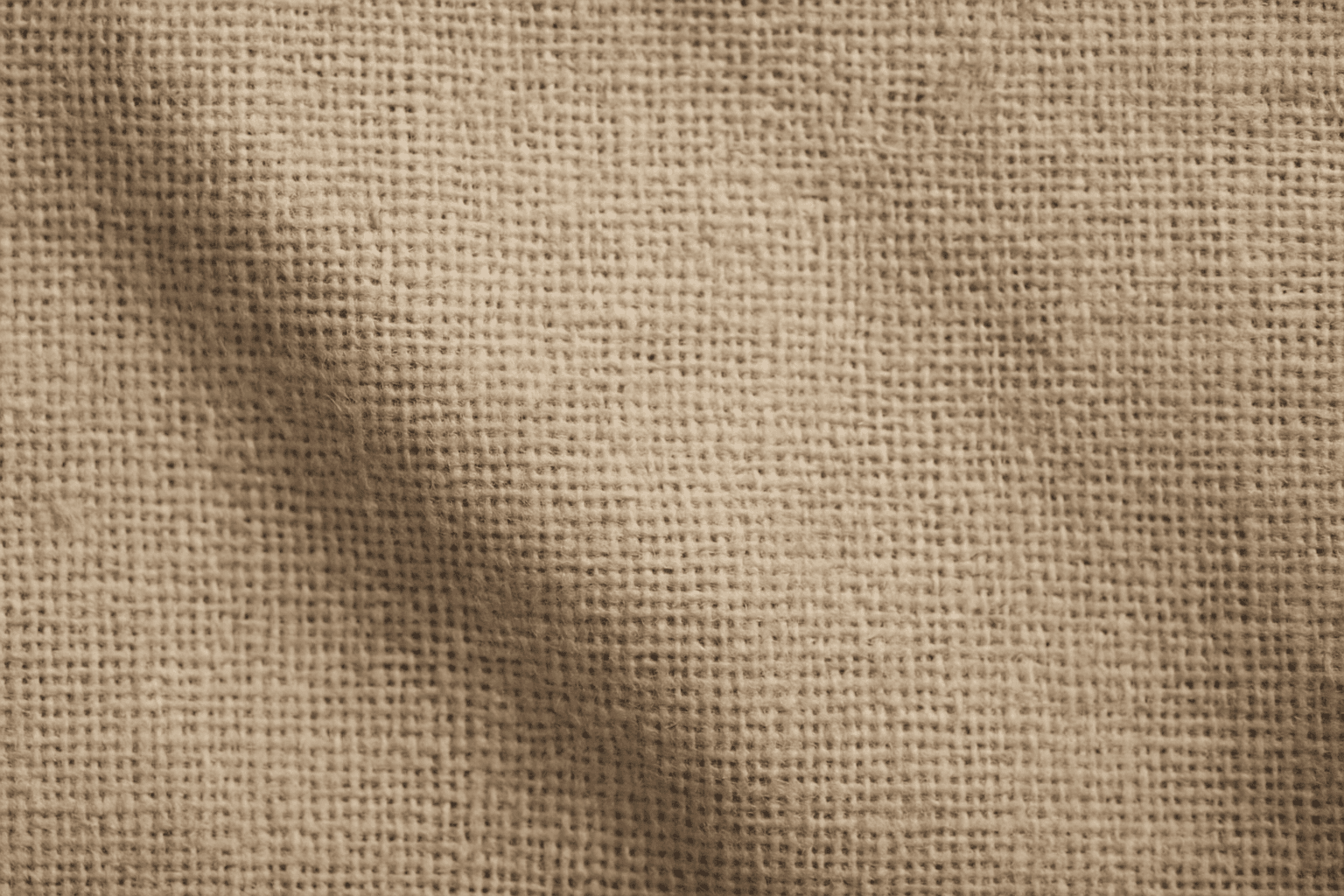 Close-up view of rough canvas texture showing a coarse woven fabric surface with natural off-white fibers and subtle light shadows