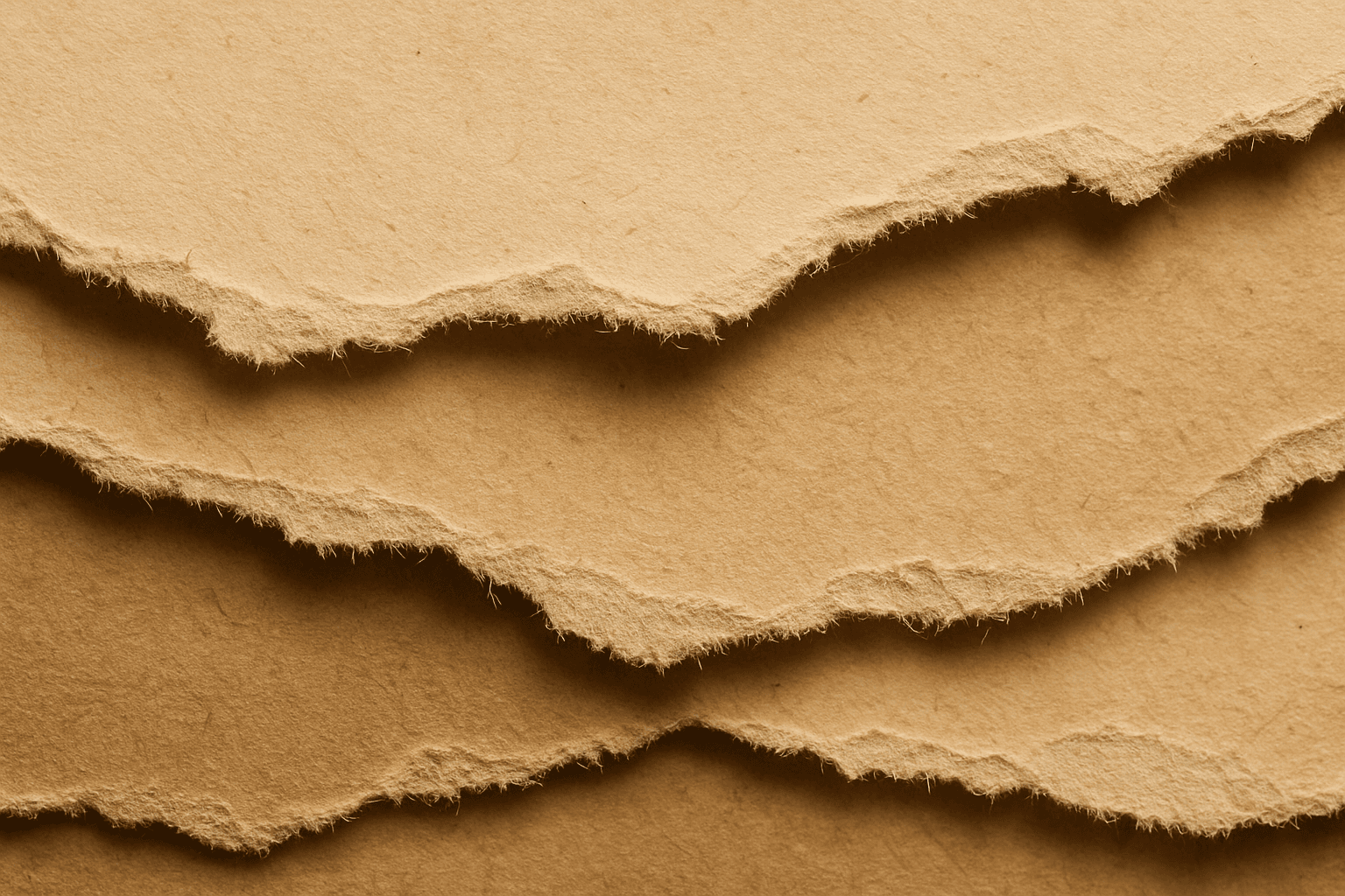 Close-up of torn paper texture with rough jagged edges and visible fibers